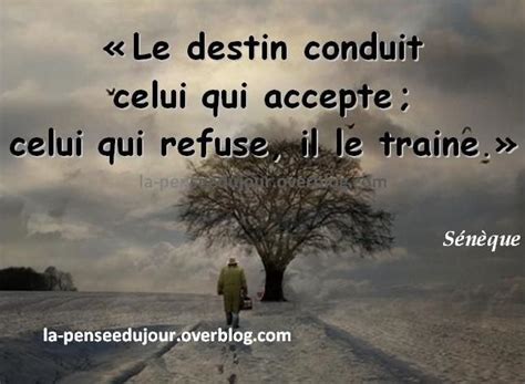 proverbes destin|More.